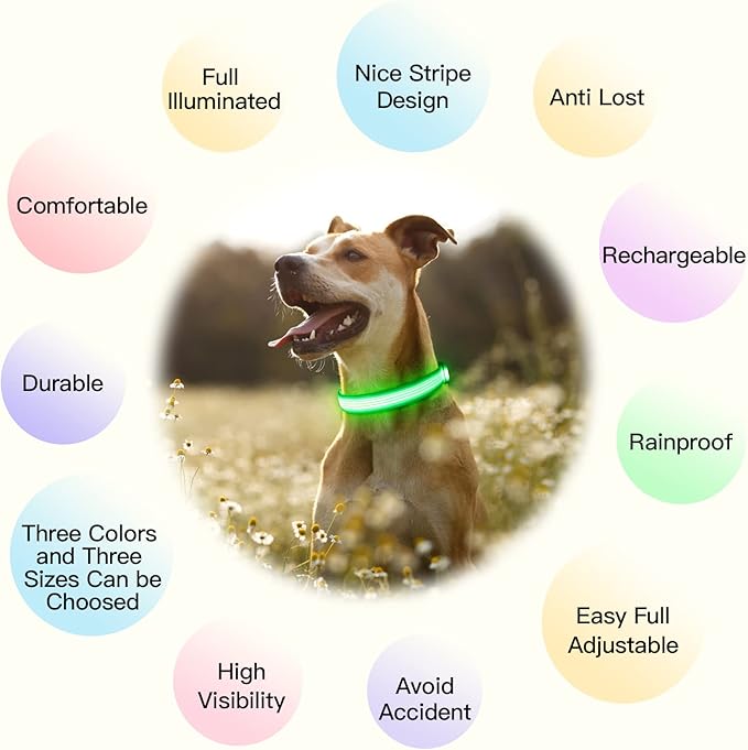 YFbrite Light up Dog Collar, USB Rechargeable LED Puppy Collar Super Bright Adjustable Glowing Dog Lights for Night Walking (Design 2-Green, Medium)