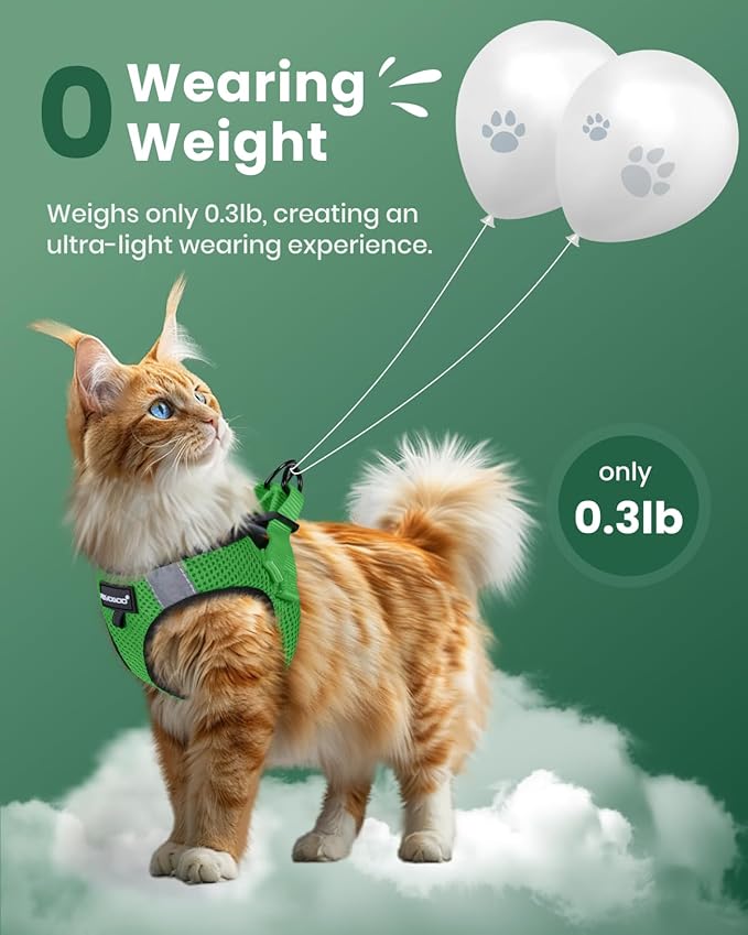 FAYOGOO Cat Harness, Cat Leash and Harness Set for Walking Escape Proof, Harness for Small Cats/Small Dogs, Large Kitten/Puppy Harness and Leash, Harness for Cats S-XXL(Neon Green, Large)
