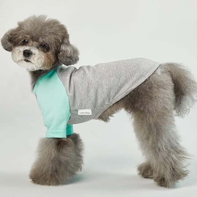 Dog Shirt for Small and Large Dogs Raglan Cotton T-Shirts Soft Breathable Dog Shirts pet Clothes Gray Series (Medium, Gray/Mint)