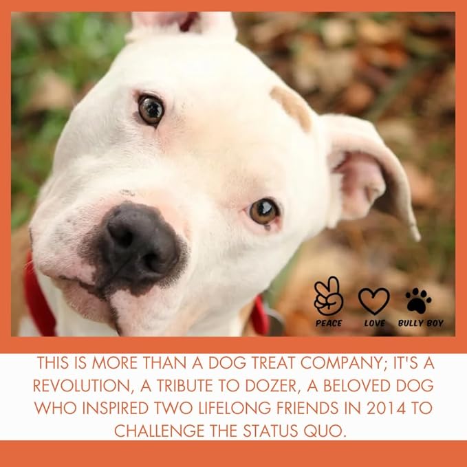 Bully Boy's Famous Beef Sticks Dog Treats | Free from Wheat, Corn, Soy, or Gluten | USA Sourced Ingredients | with Smokehouse Beef | Made in Utah | 7 oz -3 Pack