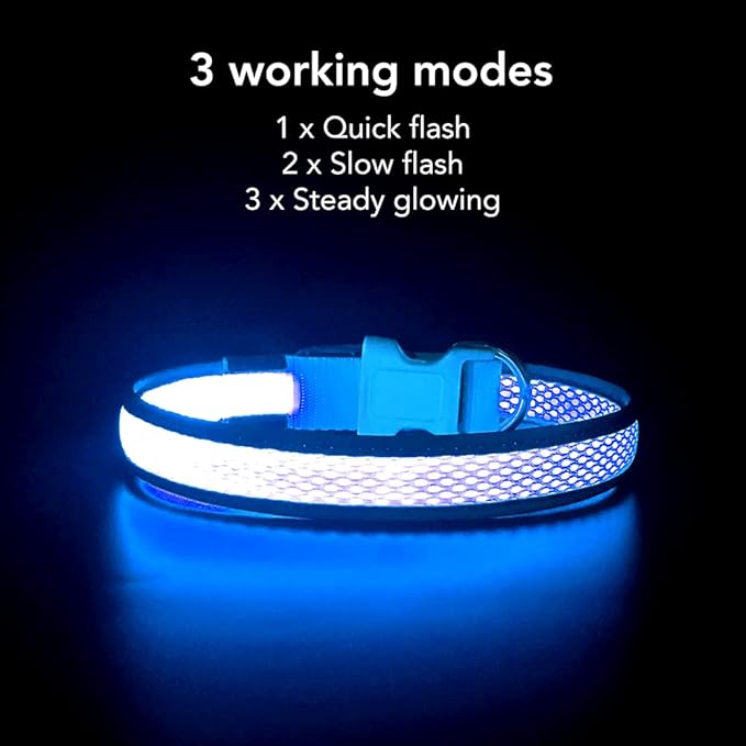 YFbrite Light up Dog Collar, USB Rechargeable LED Puppy Collar Super Bright Adjustable Glowing Dog Lights for Night Walking (Blue, Medium)