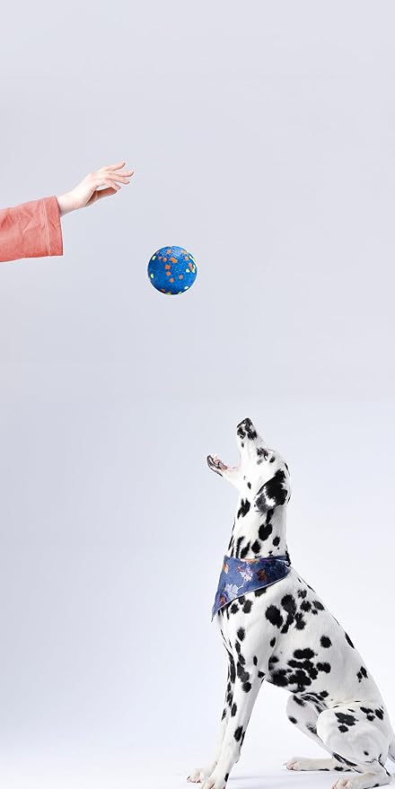 Dog Balls, Indestructible Dog Toy Ball for Aggressive Chewers, Durable High Elasticity Interactive Ball for Training Dog Catch and Fetch, Large Medium Small Dog and Puppies(Blue, 3in, 2pcs)
