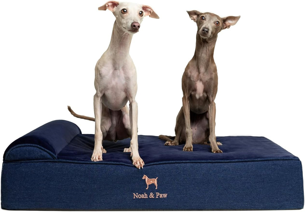 NOAH & PAW Large Dog Bed, 35x25x8.7 Inch, Orthopedic Dog Beds, Eggshell Memory Foam Infused with Cooling Gel, Waterproof, Machine Washable, Includes Inner Cover (Denim Collection)