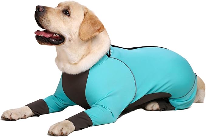 Dog Jumpsuit, Blue, 36, Waterproof, Four-Way Stretch, Large Size, Adult, Unisex, Modern, Casual, Onesie