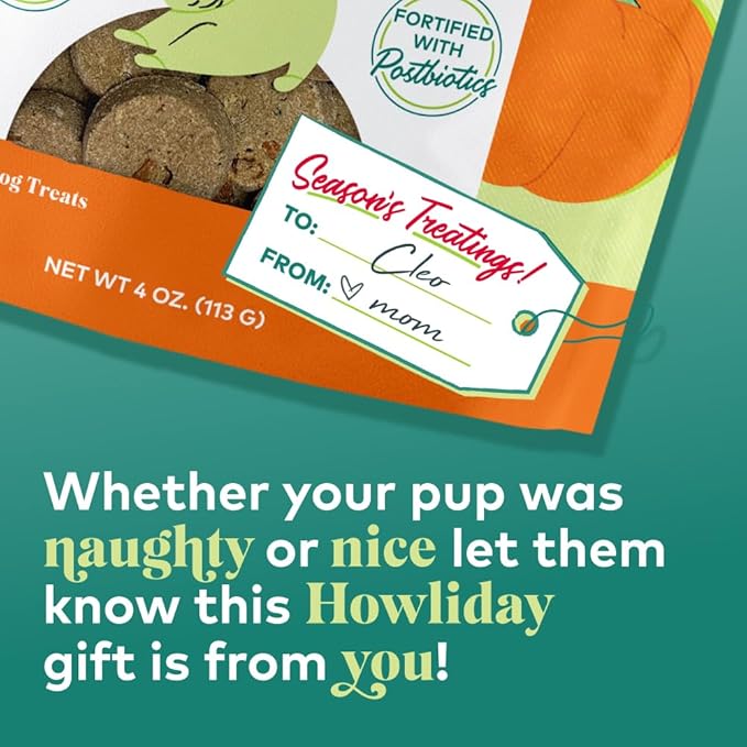Honest to Goodness Plant Snacks Limited Edition Holiday Pumpkin Spice Dog Treats, 4oz