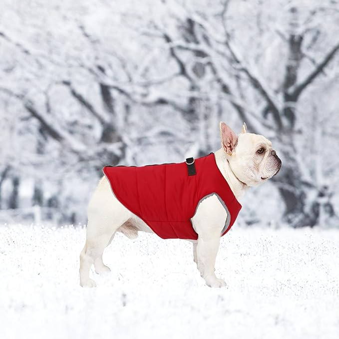 Geyecete Dog Bulldog Clothes Dog Cotton Padded Coat Thick Winter Warm Vest Waistcoat Cold Weather Jacket Clothing for French Bulldog Coat-Red-XL
