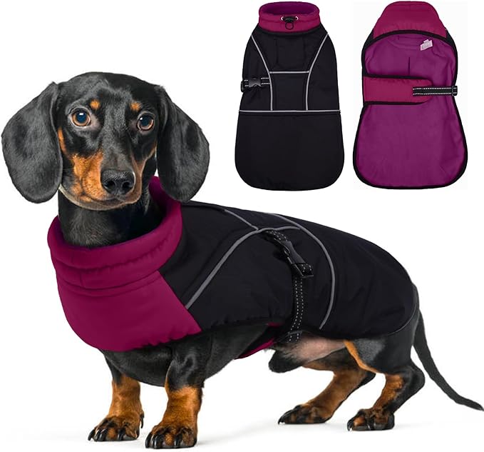 Lelepet Dachshund Coat Warm Dog Winter Coat Waterproof Dog Jacket with Fleece Lining, Reflective Outdoor Dachshund Snowsuit with Leash Hole Adjustable Neckline,Coats for Small Medium Dogs,Purple, M