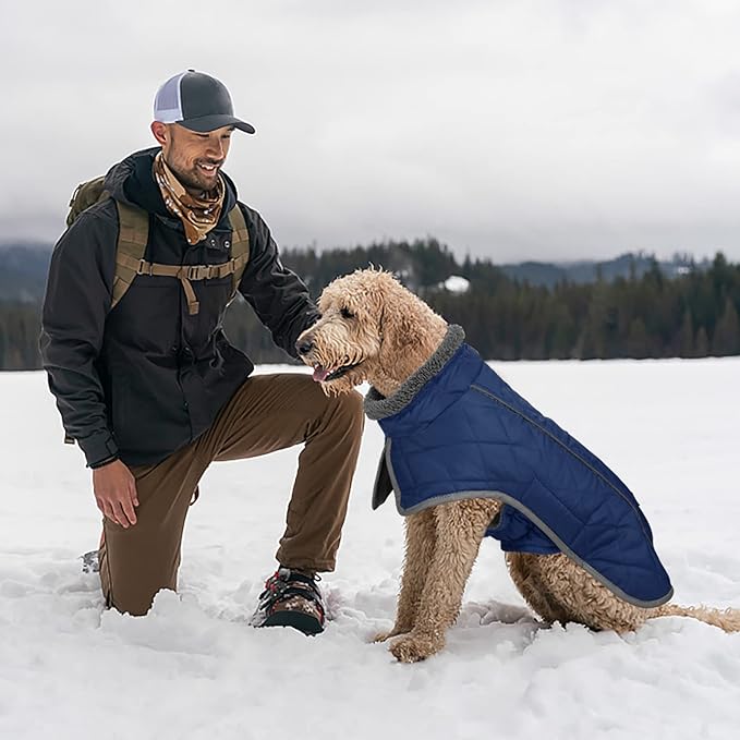 Fragralley Dog Coat Large, Waterproof Dog Jacket with Warm Fleece Lining, Adjustable Reflective Dogs Winter Coat, Turtleneck Pet Coats for Cold Weather (Blue XXL)