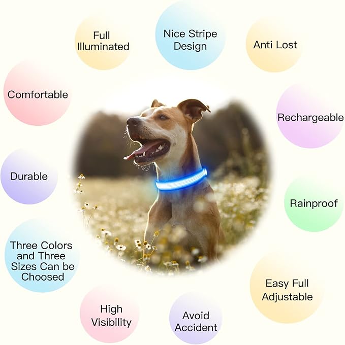 YFbrite Light up Dog Collar, USB Rechargeable LED Puppy Collar Super Bright Adjustable Glowing Dog Lights for Night Walking (Design-2- Blue, Small)