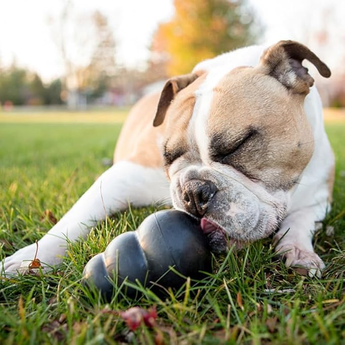 KONG Extreme Dog Toy - Fetch & Chew Toy - Treat-Filling Capabilities & Erratic Bounce for Extended Play Time Most Durable Natural Rubber Material - for Power Chewers - for X-Large Dogs (Pack of 2)