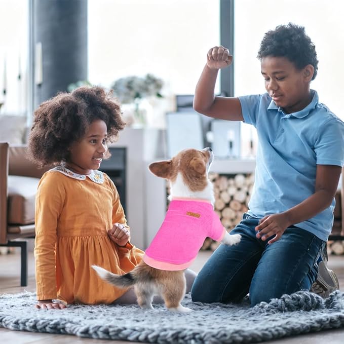 GreenJoy Classic Fleece Dog Sweater – Soft & Warm Stretchy Sweatshirt for Small Dogs & Cats, Cold-Weather Pullover for Everyday Wear (Dark Pink, X-Small)