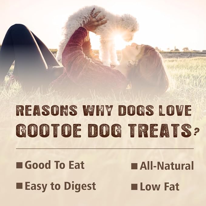Gootoe Turkey Tendons for Dogs –All-Natural, Hypoallergenic Dog Treats, Rawhide Alternative, Long Lasting Puppy Chews, Healthy Dog Treats for Medium Breeds, Stick (M), 6 Count Pack