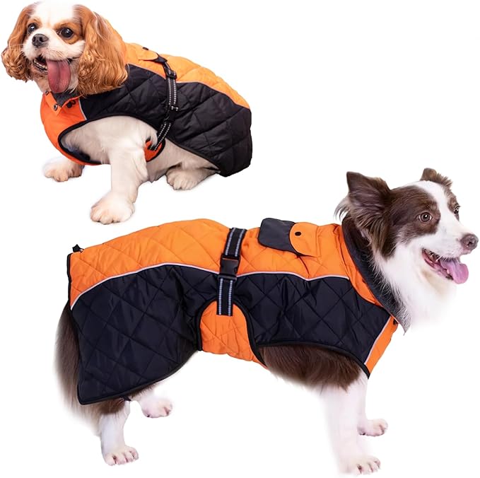 Dog Coat Dogs Winter Coat- Fleece Lined,Water-Resistant,Convertible Collar,Back Reflective Strip&Easy to Wear for Outdoor Walking Dog-Jacket(Orange, X-Large)