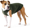 Goldpaw Stretchy Fleece Jacket for Small Dogs - Super Soft, Warm Dog Sweater - Pet Sweater Vest for Fall and Winter - Canine Clothes Made in The USA - Machine Washable - Hunter Green - Size 22
