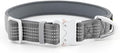 Plutus Pet Reflective Dog Collar with Aviation Aluminum Buckle, Neoprene Padded for Comfort, Lightweight, Heavy Duty Nylon Collar for Puppy Small Medium Large Dogs (Gray, L)