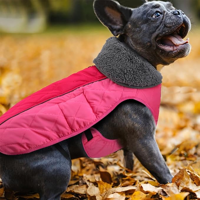 Doglay Dog Coat, Waterproof Dog Jacket Pet Winter Coat for Cold Weather with Thicken Furry Collar, Reflective Puppy Winter Jacket Warm Fleece Lining for Small Medium Large Pets