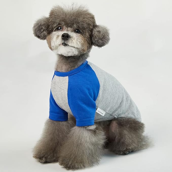 Dog Shirt for Small Dogs Cotton T-Shirt Soft Breathable Gray/Blue (Medium)