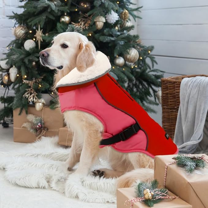 EMUST Dog Coat Winter, Warm Dog Snow Jacket for, Adjustable Small/Medium/Large Dogs Coat/s for Winter, New Orange, L