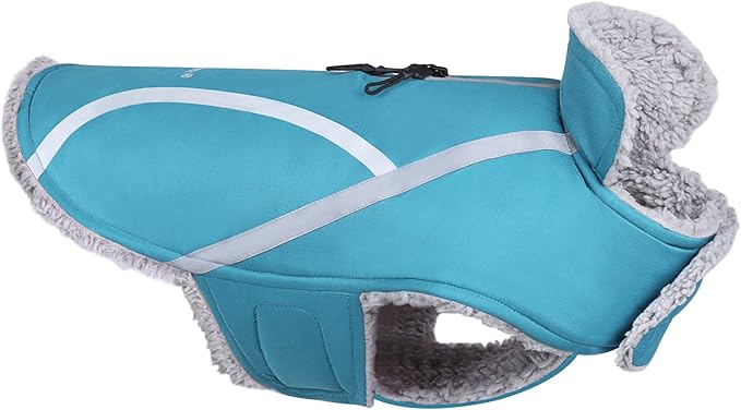 VIVAGLORY Frostfit Dog Coat, Dog Jacket for Winter & Cold Weather, Warm Fluffy Fleece Lined Water Resistant Reflective for Puppy, Coat with Velcro Fastening & Leash Hole, XS, Turquoise