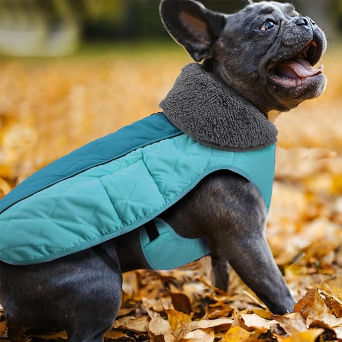 Doglay Dog Coat, Waterproof Dog Jacket Pet Winter Coat for Cold Weather with Thicken Furry Collar, Reflective Puppy Winter Jacket Warm Fleece Lining for Small Medium Large Pets
