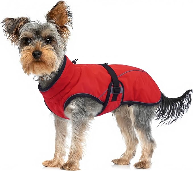 Warm Dog Coat for Winter,Waterproof Jacket with Zipper,Detachable Dog Coat with Adjustable Buckle,Comfortable Jacket for Dogs in Cold and Windy Days.XS Red