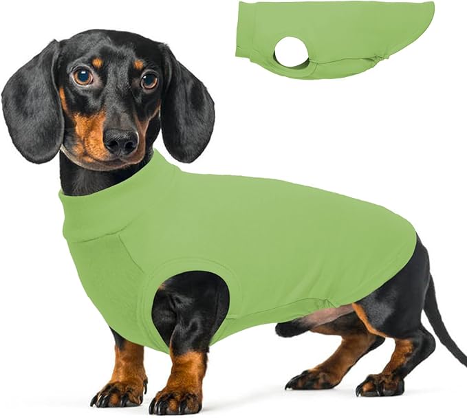 Dog Fleece Vest - Green, XL - Lightweight Sweater | Warm Stretchable Sweatshirt for Fall & Winter, Indoor Comfort Wear,Seasonal Underwear,Schnauzer