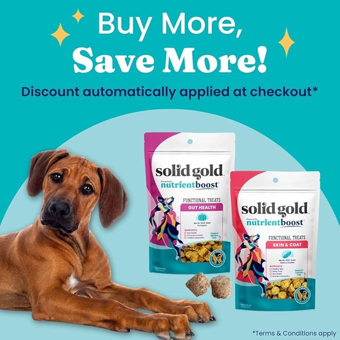Solid Gold Healthy Dog Treats - Functional Pumpkin Dog Teats w/Flaxseed & Gentle Superfoods for Gut Health & Digestion - Gluten Free Healthy Training Treat for Dogs of All Ages & Sizes - 5.2 oz