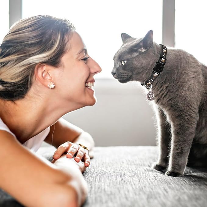 2Pcs Breakaway Cats Collars Cat Collars for Boy & Girl Cats Adjustable Kitten Collars with Bell,Black+Gray