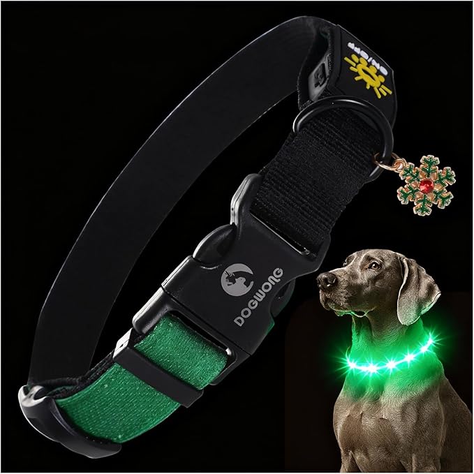 DOGWONG LED Dog Collar - Heavy Duty Light up Collars - Rechargeable Waterproof - Lighted Dog Collar for Night Walking, Hiking, Camping(Green,M)