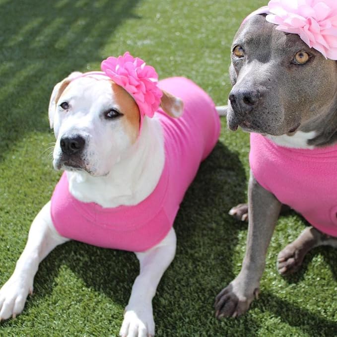 Gooby - Stretch Fleece Vest, Pullover Fleece Vest Jacket Sweater for Dogs, Pink, 5X-Large