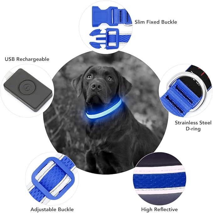 YFbrite Light up Dog Collar, USB Rechargeable LED Puppy Collar Super Bright Adjustable Glowing Dog Lights for Night Walking (Blue, Small)