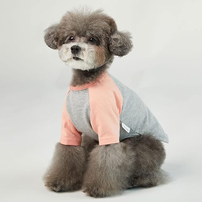 Dog Shirt for Small and Large Dogs Raglan Cotton T-Shirts Soft Breathable Dog Shirts pet Clothes Gray Series (Medium, Gray/Peach)