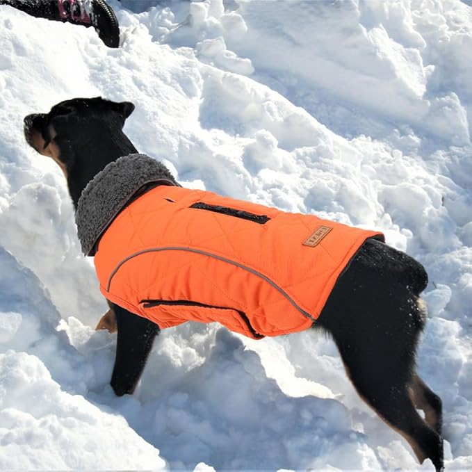 EMUST Winter Coat for Large Dogs, Windproof Dog Jacket for Cold Weather, Extra Warm Dog Winter Clothes for Small Medium Large Dogs, Orange, XXL