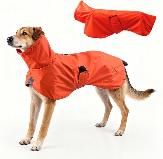 Dog Water-Repellent Raincoat Jacket, Lightweight Reflective Waterproof Clothes for Small Medium Large Dogs, Outdoor for Fall & Spring (Orange, M)