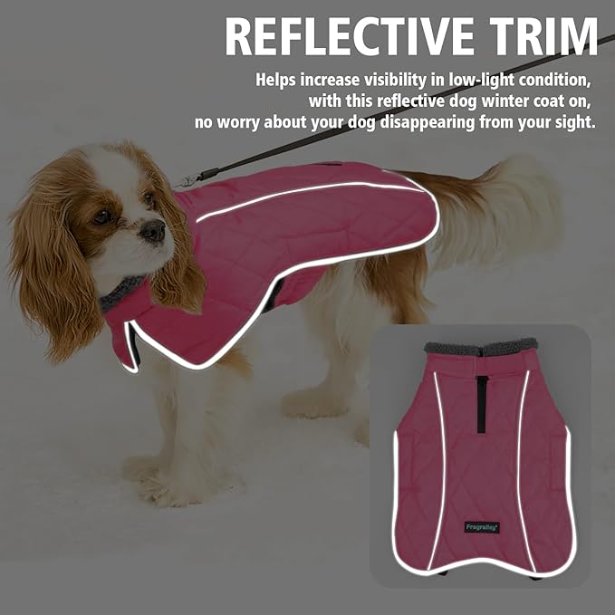 Fragralley Dog Coat Small, Waterproof Dog Jacket with Warm Fleece Lining, Adjustable Reflective Dogs Winter Coat, Turtleneck Pet Coats for Cold Weather (Pink S)