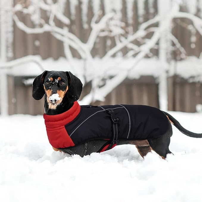 Lelepet Dachshund Coat Warm Dog Winter Coat Waterproof Dog Jacket with Fleece Lining, Reflective Outdoor Dachshund Snowsuit with Leash Hole Adjustable Neckline,Coats for Small Medium Dogs,Red, XL
