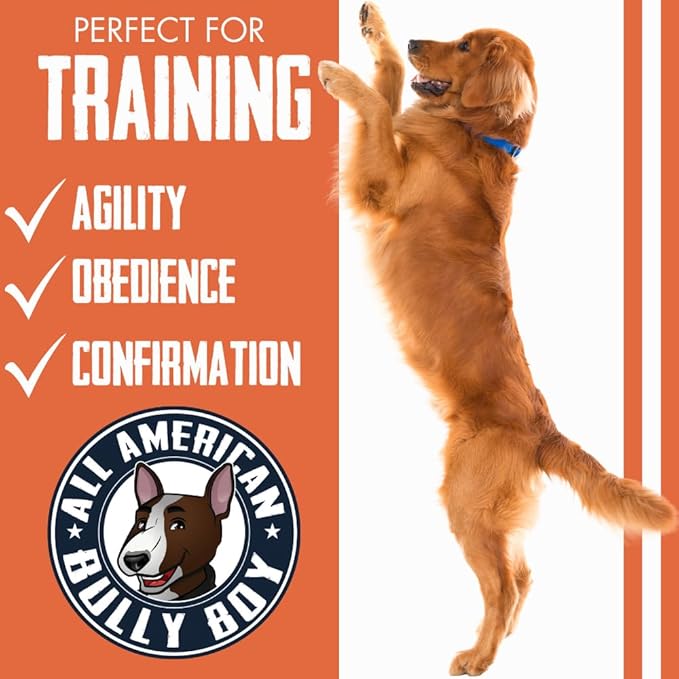 Bully Boy's Famous Beef Training Nibs Dog Treats | Free from Wheat, Corn, Soy, or Gluten | USA Sourced Ingredients | with Smokehouse Beef | Made in Utah | 15 oz - 2 Pack