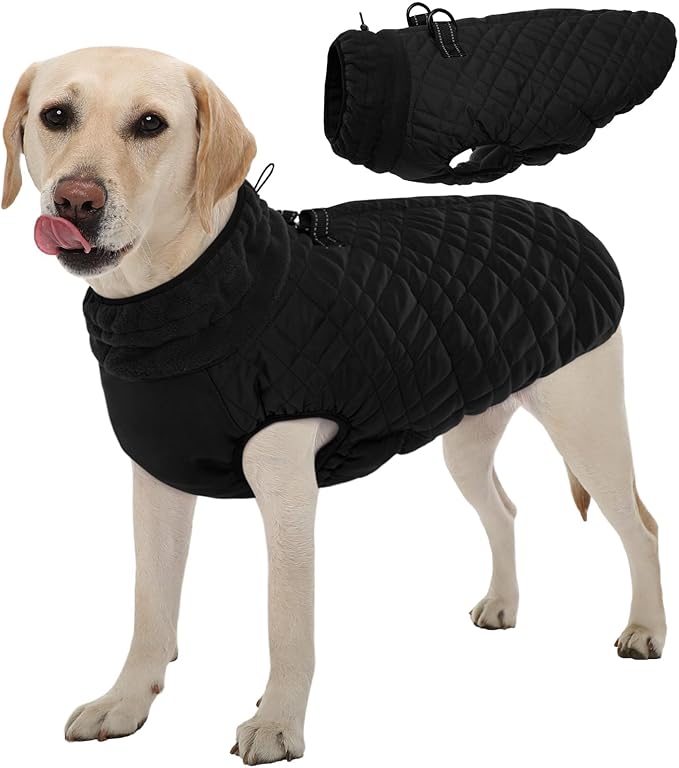 Kuoser Medium Dog Coat | All-Breed Thermal Wear with Windproof Layer | Reflective Tabs Enhance Visibility in Snow, Snap Buckles Simplify Dressing, Black L