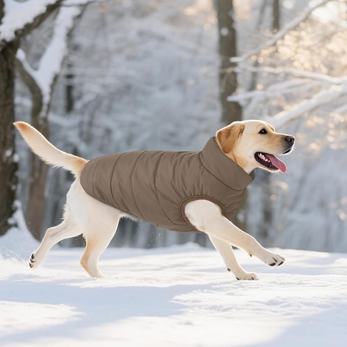 ASENKU Dog Winter Coat - Waterproof Windproof Dog Jacket, Warm Snowproof Doggie Puffer Vest for Cold Weather, Lightweight Snow Coats for Small Medium Large Dogs(M, Coffee)