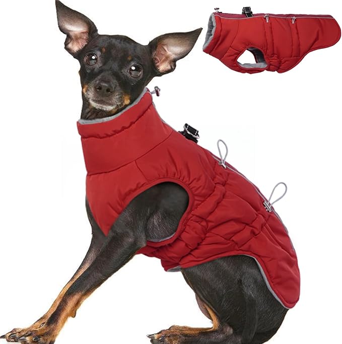 Dog Coat - XS, Warm Zip Up Snowsuit Dog Harness Vest, Reflective Water-Resistant, Red