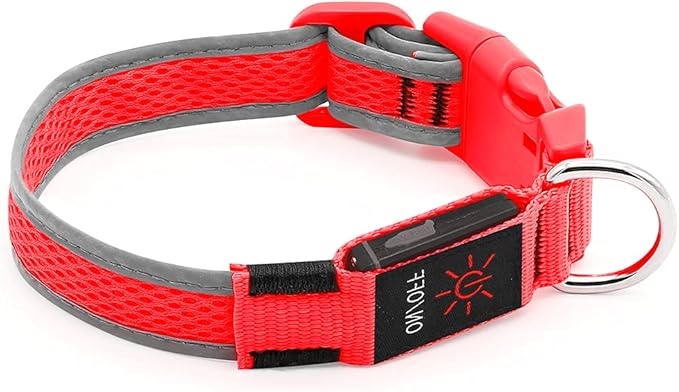 YFbrite Light up Dog Collar, USB Rechargeable LED Puppy Collar Super Bright Adjustable Glowing Dog Lights for Night Walking (Red, Medium)