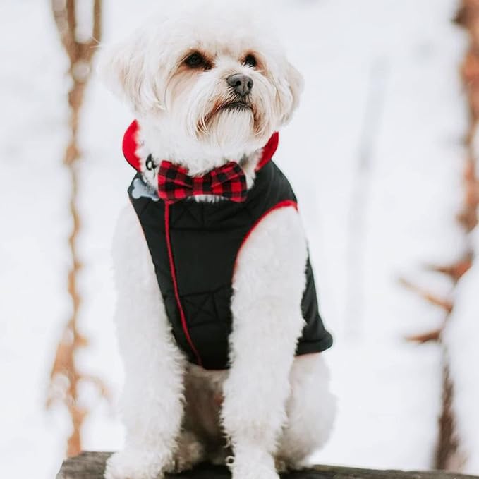 Gooby Sports Vest Dog Jacket - Black, X-Large - Reflective Dog Vest with D Ring Leash Warm Fleece Lined Hook and Loop Closure for Small to Medium Dogs
