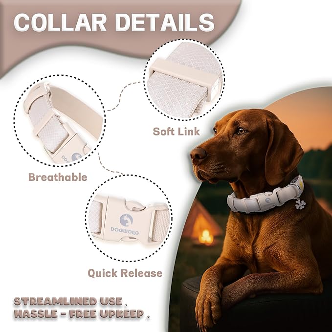 DOGWONG LED Dog Collar - Heavy Duty Light up Collars - Rechargeable Waterproof - Lighted Dog Collar for Night Walking, Hiking, Camping(White,S)