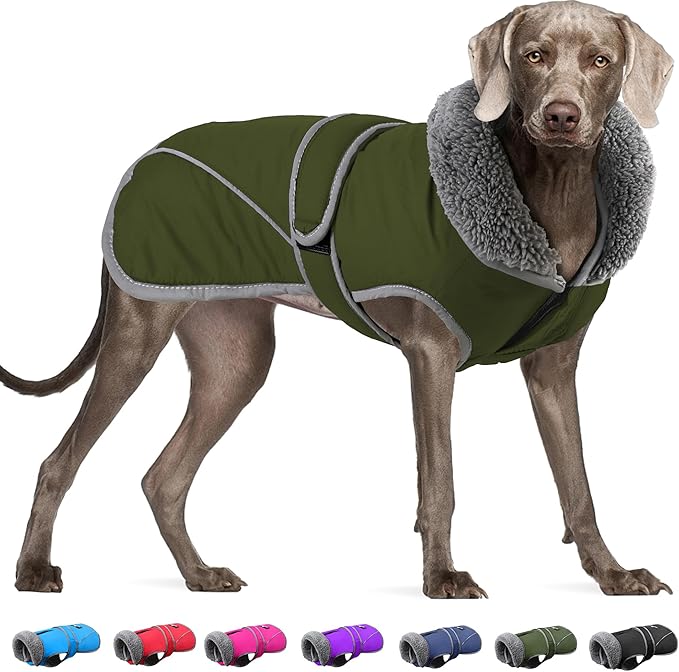 Dogcheer Dog Coat, Waterproof Dog Jacket Reflective Pet Winter Coat with Adjustable Hook & Loop, Christmas Puppy Fleece Jacket Warm Turtleneck Snowsuit for Small Medium Large Dogs - Green, XL
