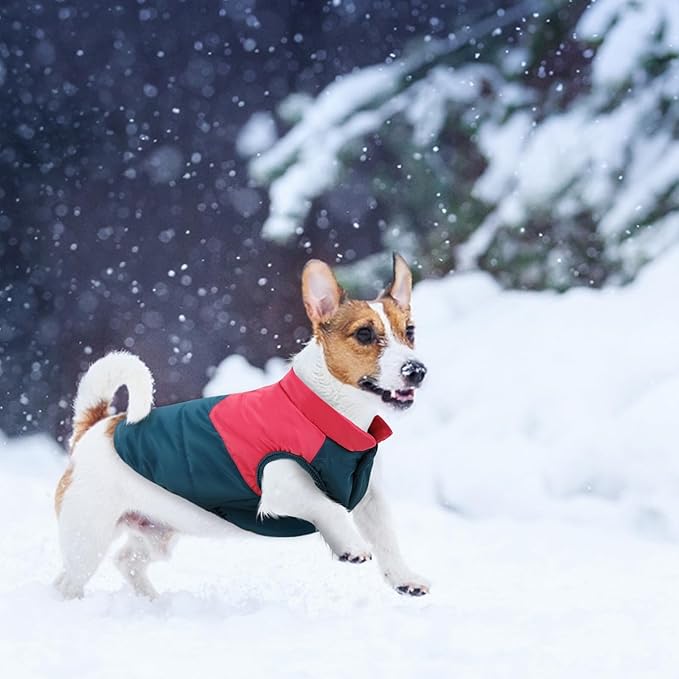 ASENKU Dog Winter Coat - Waterproof Windproof Dog Jacket, Warm Snowproof Doggie Puffer Vest for Cold Weather, Lightweight Snow Coats for Small Medium Large Dogs (Red&Navy, S)