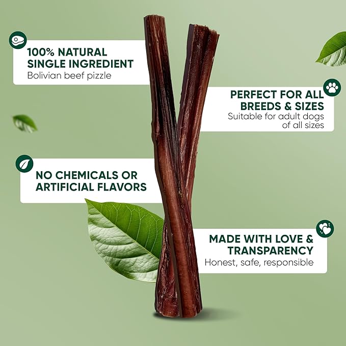 MASSTICK Bully Sticks for Dogs 6 Inch – Extra Thick, Long Lasting, Odor Free Beef Dog Chew Sticks – All Natural, Fully Digestible Treats for Small & Large Dogs – 8oz Bag