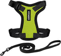 Voyager Step-in Lock Adjustable Cat Harness w. Cat Leash Combo Set with Neoprene Handle 5ft - Supports Small, Medium and Large Breed Cats by Best Pet Supplies - Lime Green/Black Trim, XXS