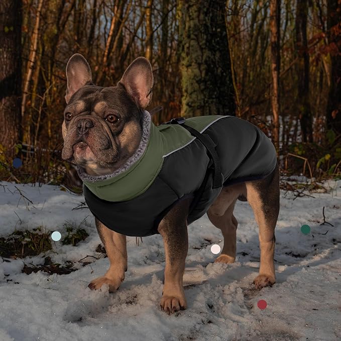 IECOii Extra Warm Dog Coat - Reflective, Adjustable Winter Jacket with Buckle & Fleece Turtleneck for Small to Extra Large Dogs