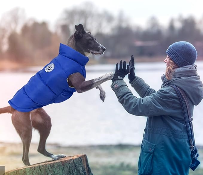 Kuoser Dog Coat Puffer Vest, Warm Dog Jacket Windproof Dogs Cold Weather Coats Pet Snowsuit Padded Vests, Lightweight Puppy Winter Clothes for Small Dogs, Button Design, Easy On/Off, Blue S