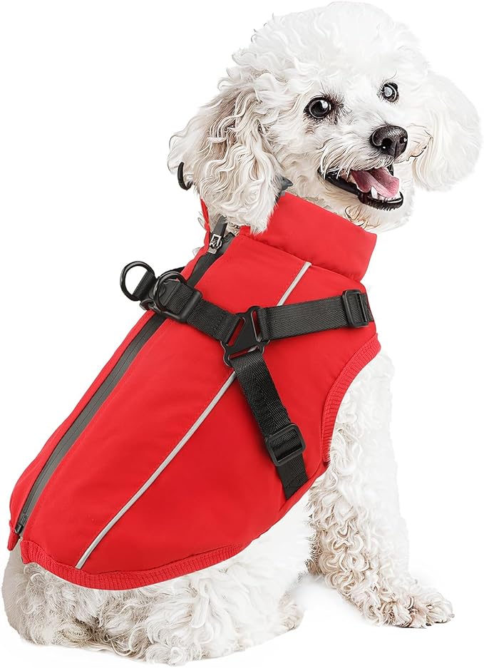 Dog Winter Coat Reflective Water-Resistant Jacket, Fleece Lined Windproof Puppy Coat with Back Zipper & D-Ring, Cold Weather Dog Coats for Small Medium Large Dogs (M, Red)